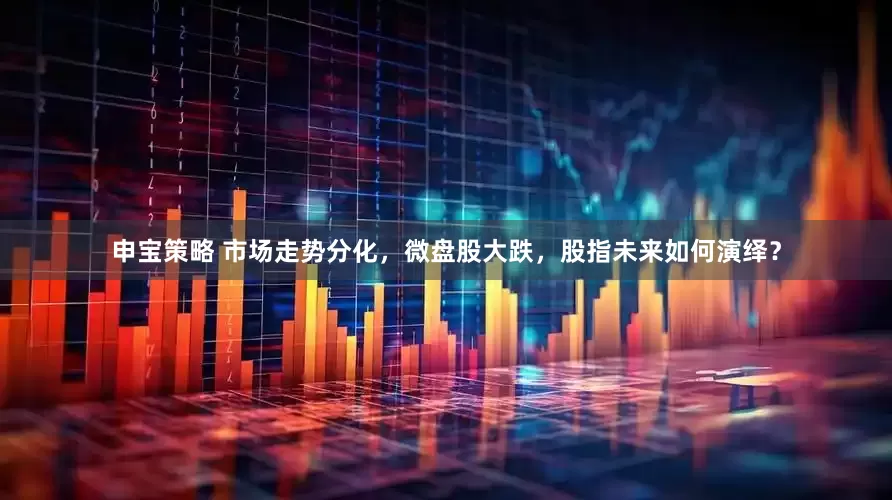 申宝策略 市场走势分化，微盘股大跌，股指未来如何演绎？