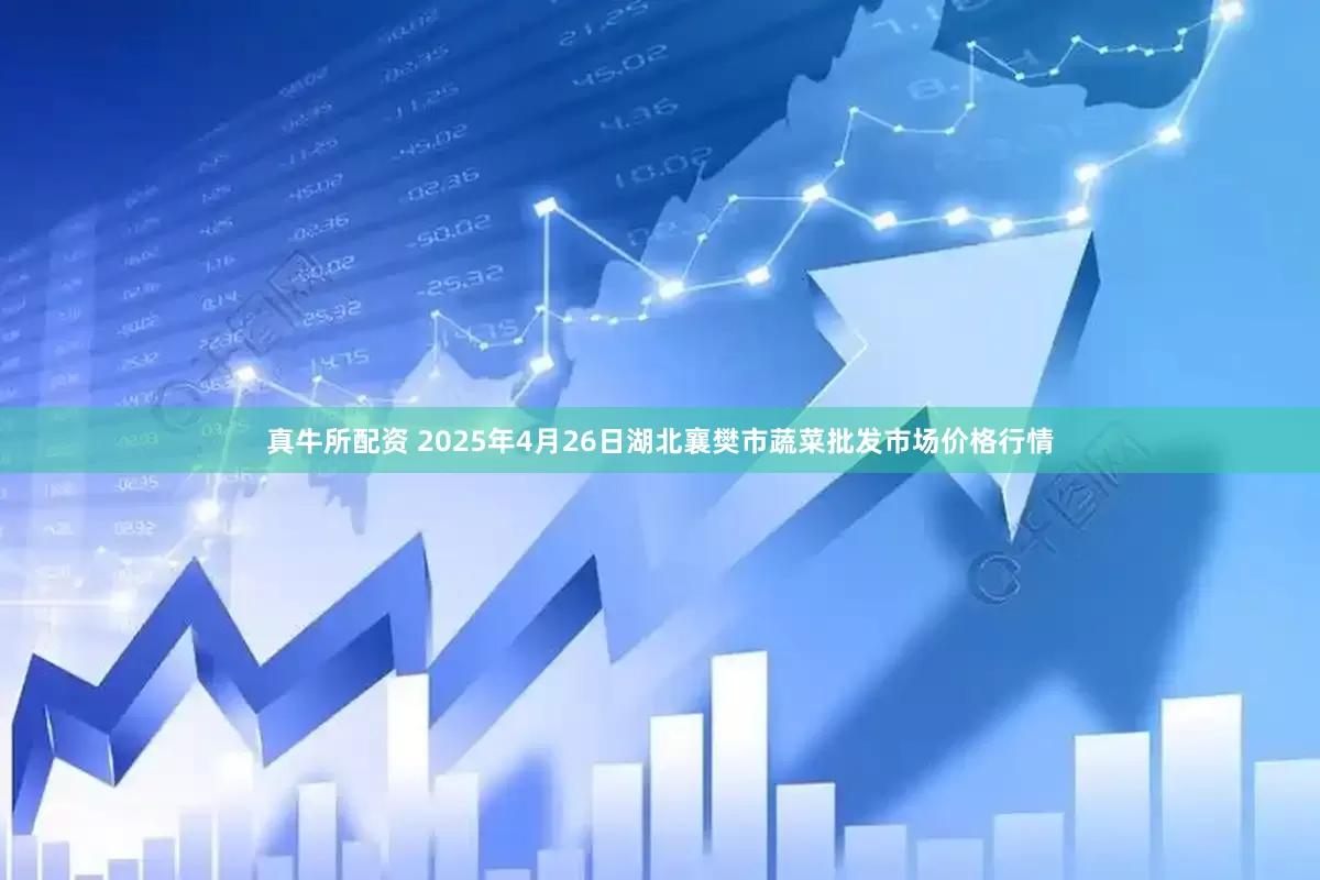 真牛所配资 2025年4月26日湖北襄樊市蔬菜批发市场价格行情