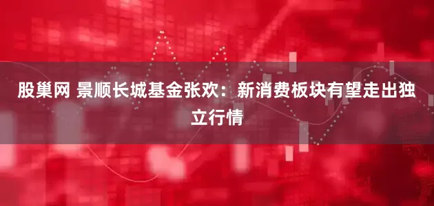 股巢网 景顺长城基金张欢：新消费板块有望走出独立行情